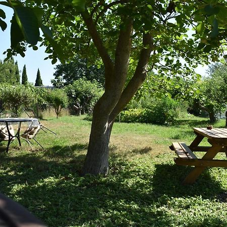 Mobil-Home Sur Terrain Bucolique イエール エクステリア 写真