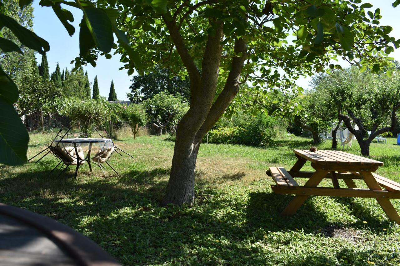 Mobil-Home Sur Terrain Bucolique イエール エクステリア 写真